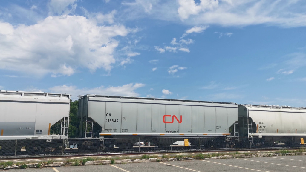 CN 113849